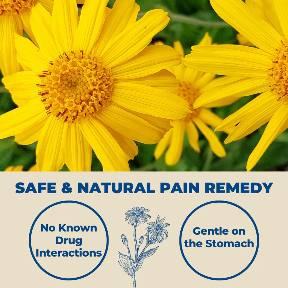 VitaMedica Arnica Montana flower