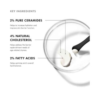 SkinCeuticals Triple Lipid Restore product ingredients and benefits